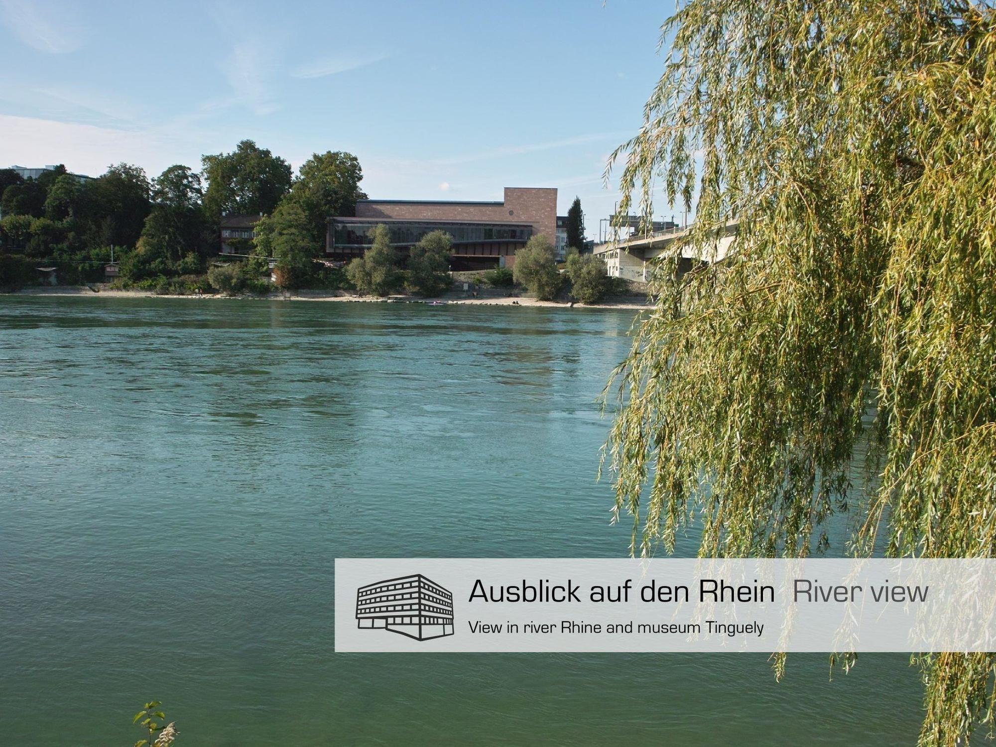 Dasbreitehotel Am Rhein Basilea Exterior foto